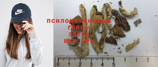 ALPHA-PVP Алексин