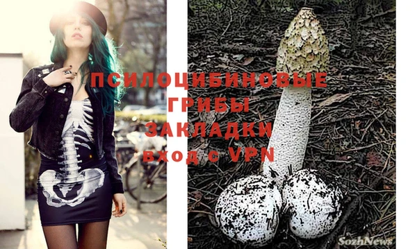 МДПВ Алексеевка
