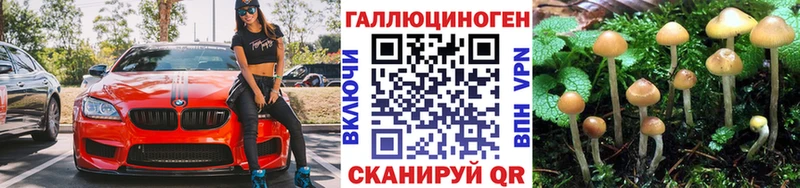 Галлюциногенные грибы ЛСД  как найти наркотики  Щёлково 